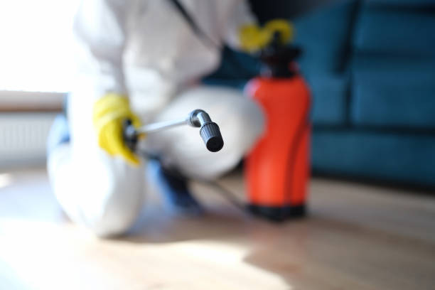 Best Post-Construction Mold Inspection  in Belhaven, NC